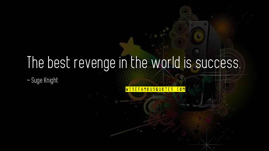 Success As Revenge For Ex Quotes By Suge Knight: The best revenge in the world is success.