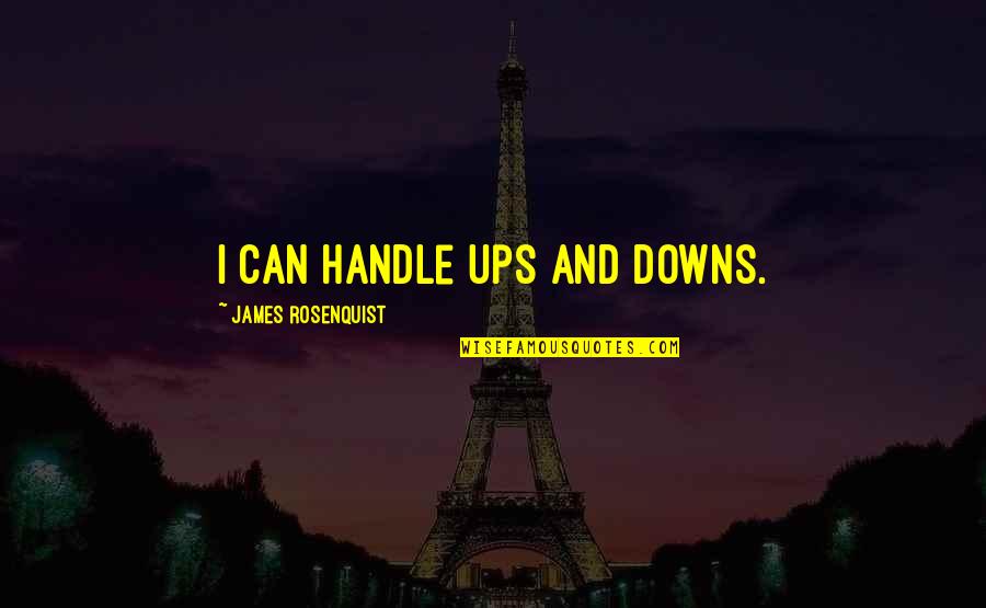 Success Sales Inspirational Quotes By James Rosenquist: I can handle ups and downs.