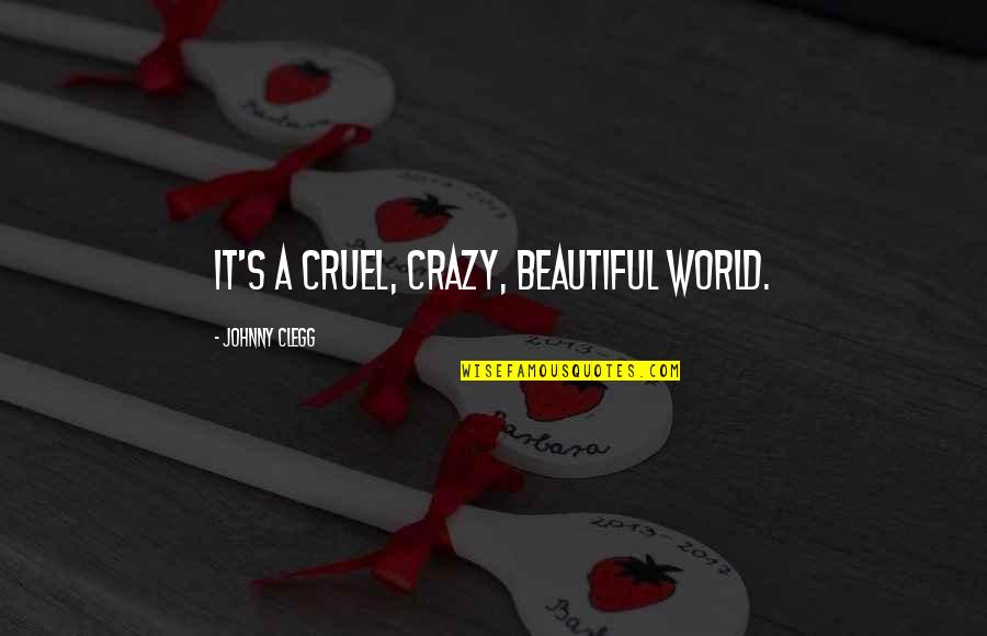 Such A Cruel World Quotes By Johnny Clegg: It's a cruel, crazy, beautiful world.