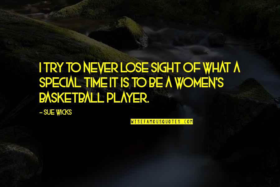 Sue Wicks Quotes By Sue Wicks: I try to never lose sight of what