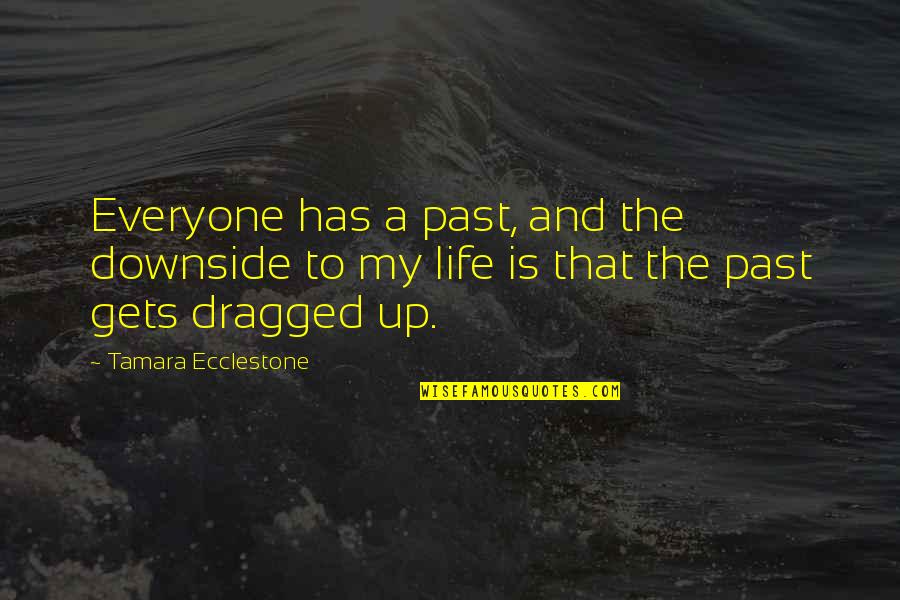 Summit Learning Quotes By Tamara Ecclestone: Everyone has a past, and the downside to