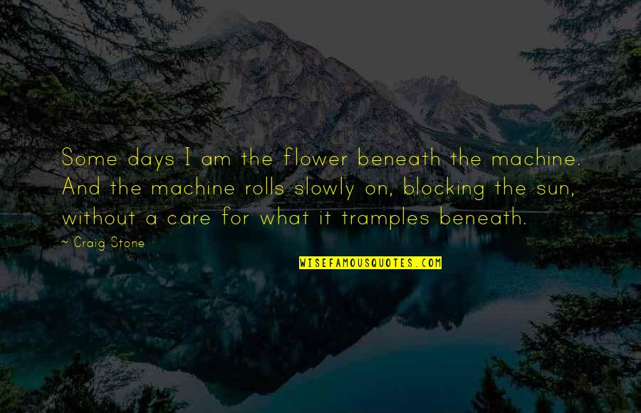 Sun And Life Quotes By Craig Stone: Some days I am the flower beneath the