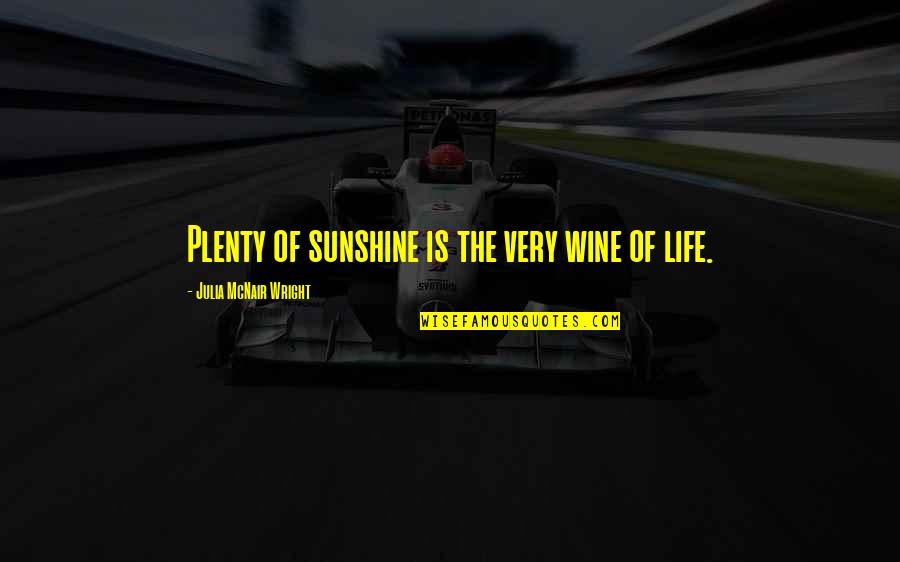 Sun Is Life Quotes By Julia McNair Wright: Plenty of sunshine is the very wine of