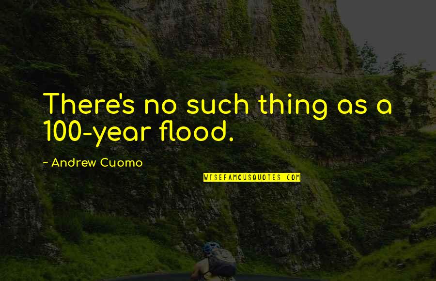 Sunday Vibe Quotes By Andrew Cuomo: There's no such thing as a 100-year flood.