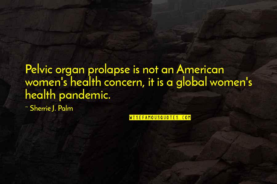 Sunderlands Portrait Quotes By Sherrie J. Palm: Pelvic organ prolapse is not an American women's