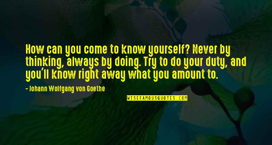 Sunflower Flower Quotes By Johann Wolfgang Von Goethe: How can you come to know yourself? Never