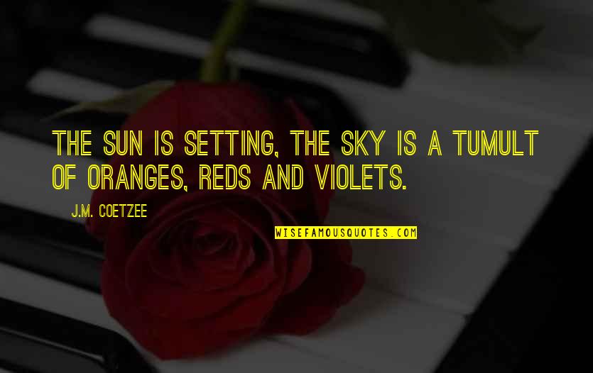 Sunsets And Quotes By J.M. Coetzee: The sun is setting, the sky is a