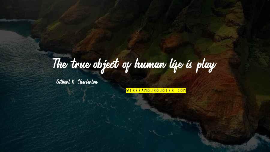 Super People Cleaning Quotes By Gilbert K. Chesterton: The true object of human life is play.