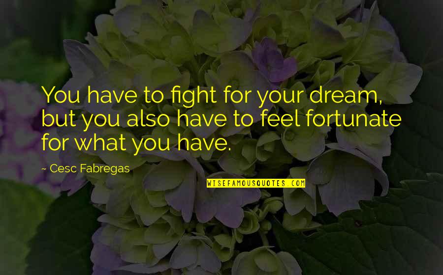 Superare Moribus Quotes By Cesc Fabregas: You have to fight for your dream, but