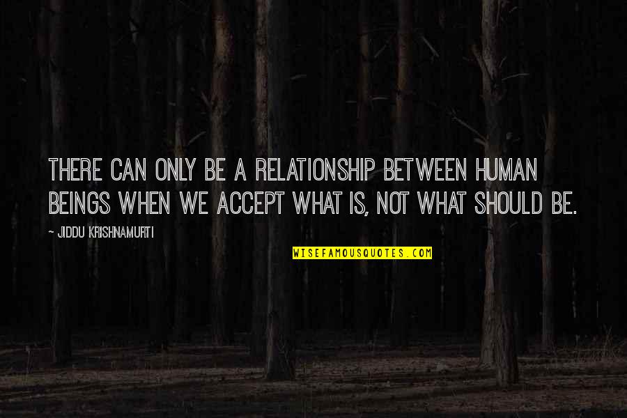 Superstructures Video Quotes By Jiddu Krishnamurti: There can only be a relationship between human