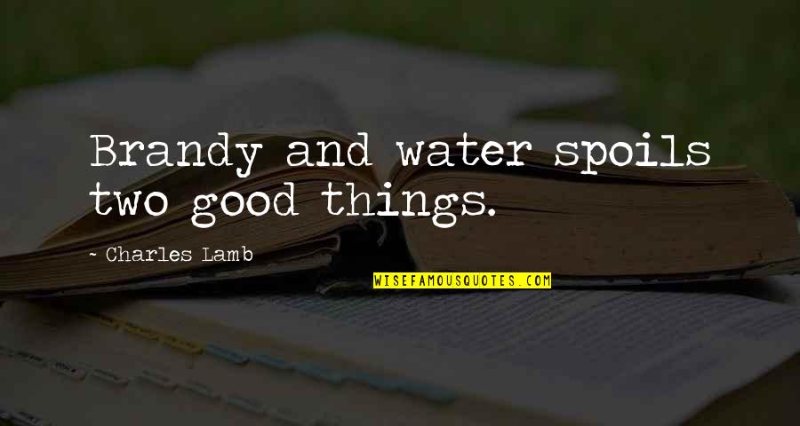 Supertall Quotes By Charles Lamb: Brandy and water spoils two good things.