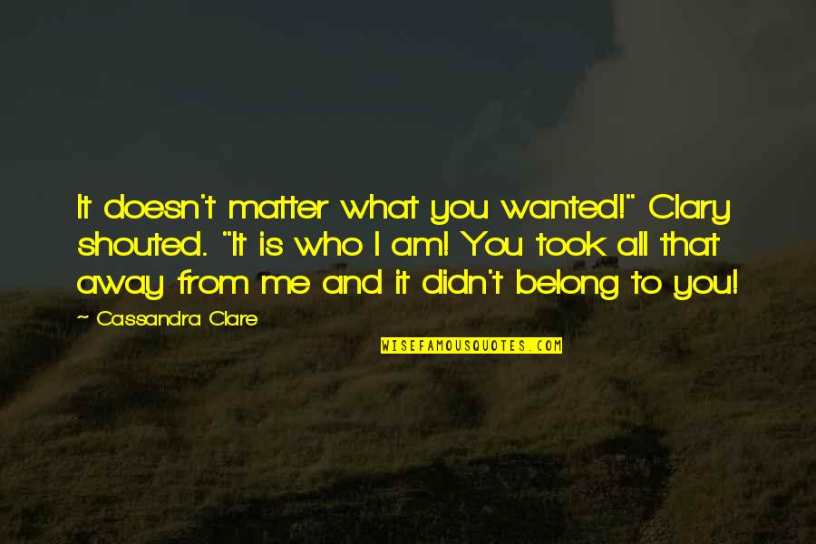 Suppiah Sivakumar Quotes By Cassandra Clare: It doesn't matter what you wanted!" Clary shouted.