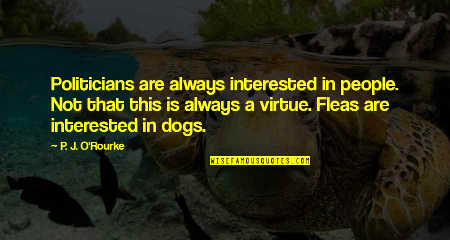 Survive Depression Quotes By P. J. O'Rourke: Politicians are always interested in people. Not that