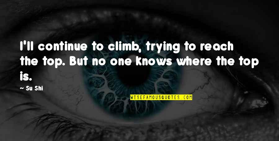 Sushi For One Quotes By Su Shi: I'll continue to climb, trying to reach the