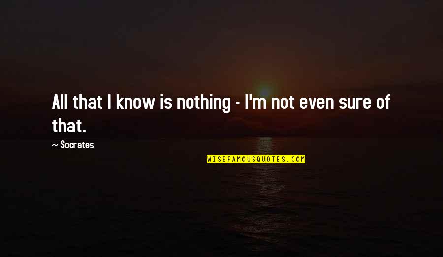 Suspect Relationship Quotes By Socrates: All that I know is nothing - I'm