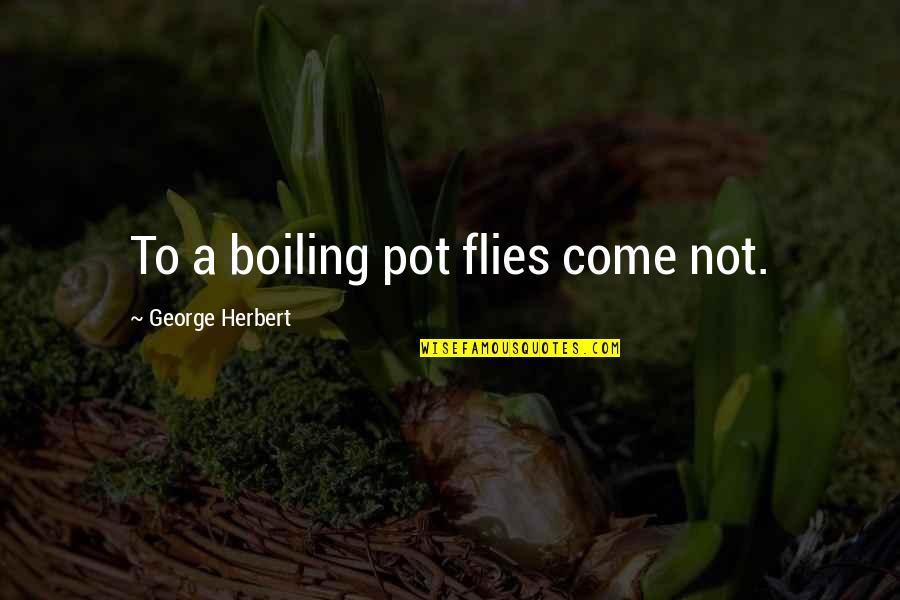 Sveticxovloba Quotes By George Herbert: To a boiling pot flies come not.