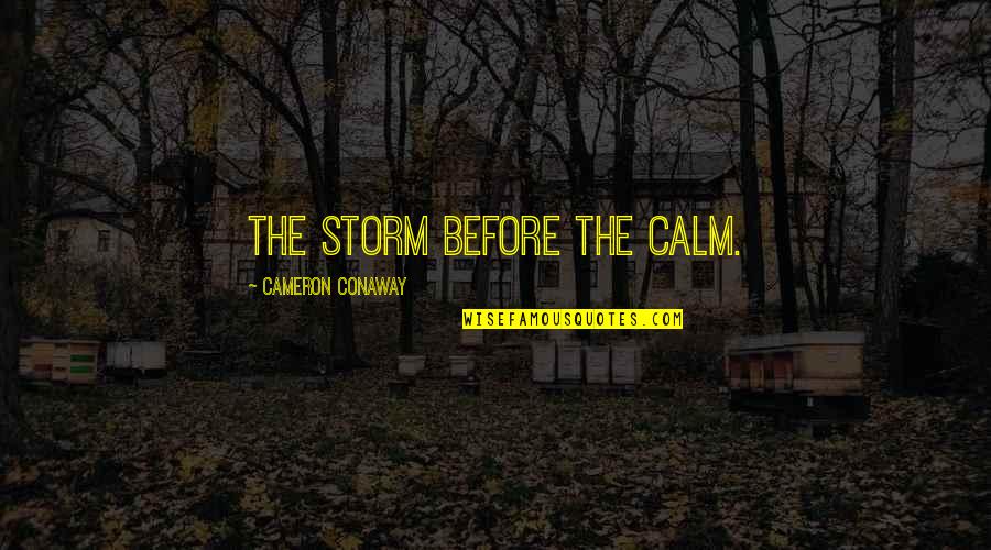 Svijetu Se Quotes By Cameron Conaway: The storm before the calm.