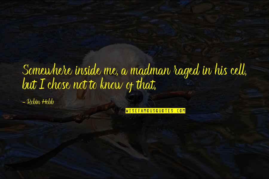 Swaddlers Vs Baby Quotes By Robin Hobb: Somewhere inside me, a madman raged in his