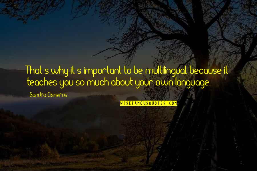 Sweet Taste Of Success Quotes By Sandra Cisneros: That's why it's important to be multilingual, because