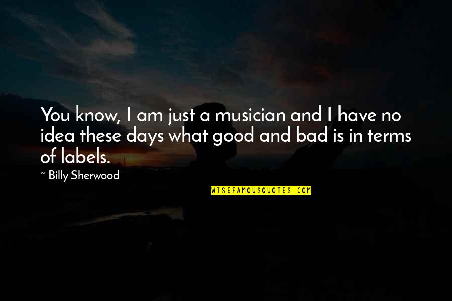 Swooshed It Quotes By Billy Sherwood: You know, I am just a musician and