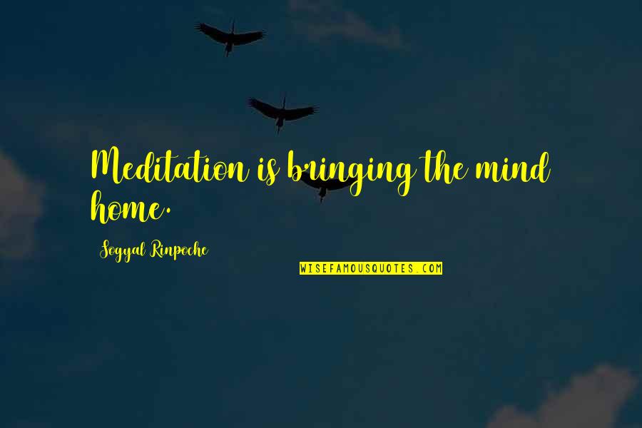 System Theories Quotes By Sogyal Rinpoche: Meditation is bringing the mind home.