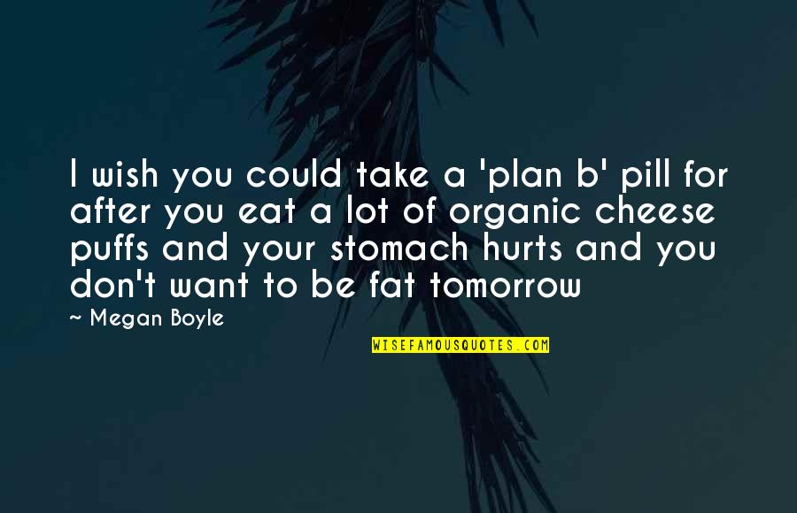 T.c. Boyle Quotes By Megan Boyle: I wish you could take a 'plan b'