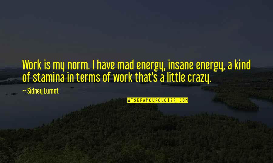 Tacticus Jesus Quotes By Sidney Lumet: Work is my norm. I have mad energy,