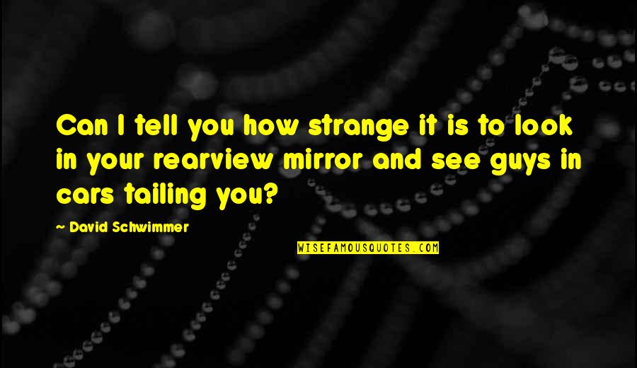 Tailing Quotes By David Schwimmer: Can I tell you how strange it is