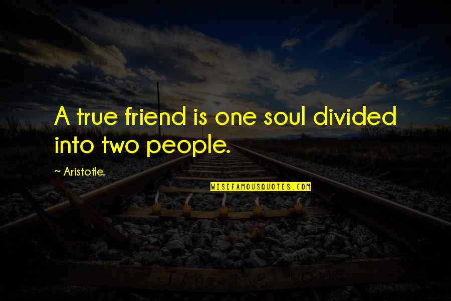 Tailwater Outfitters Quotes By Aristotle.: A true friend is one soul divided into