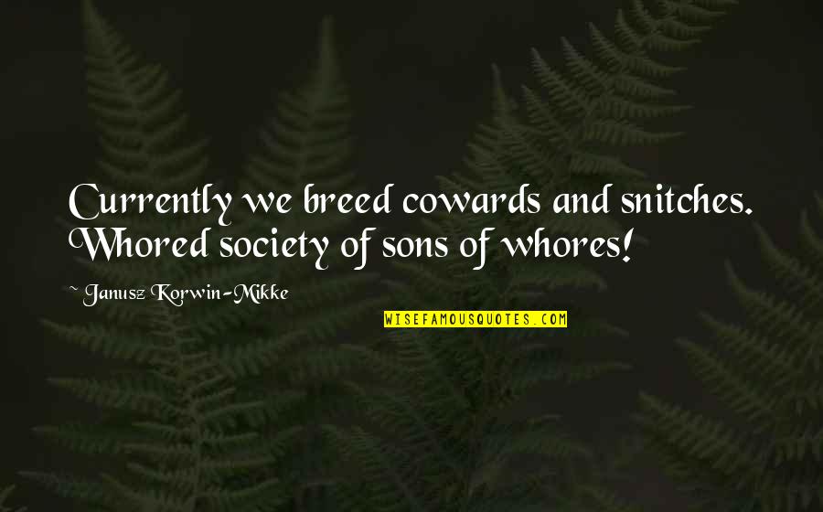 Take Risks And Conquer Your Fears Quotes By Janusz Korwin-Mikke: Currently we breed cowards and snitches. Whored society