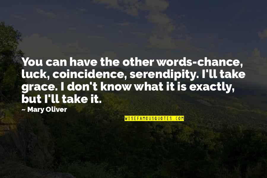 Take What You Have Quotes By Mary Oliver: You can have the other words-chance, luck, coincidence,