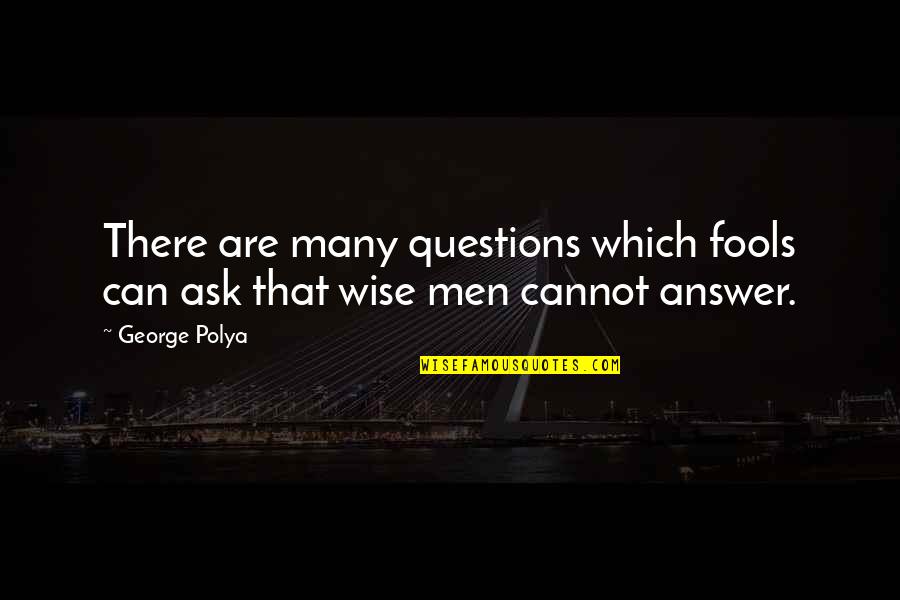 Takigawa Yumi Quotes By George Polya: There are many questions which fools can ask