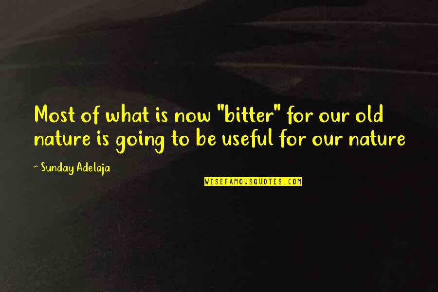 Taking Care Of Our World Quotes By Sunday Adelaja: Most of what is now "bitter" for our