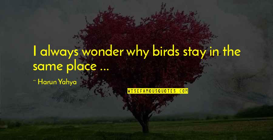 Tammany Hall Quote Quotes By Harun Yahya: I always wonder why birds stay in the