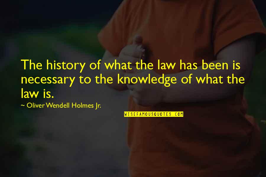 Tamped Tv Quotes By Oliver Wendell Holmes Jr.: The history of what the law has been