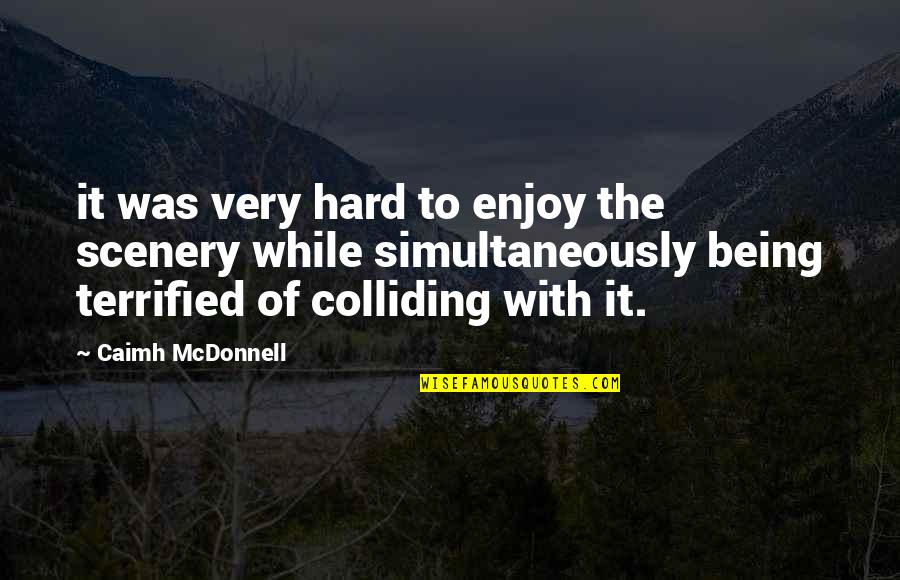 Tangisan In English Quotes By Caimh McDonnell: it was very hard to enjoy the scenery