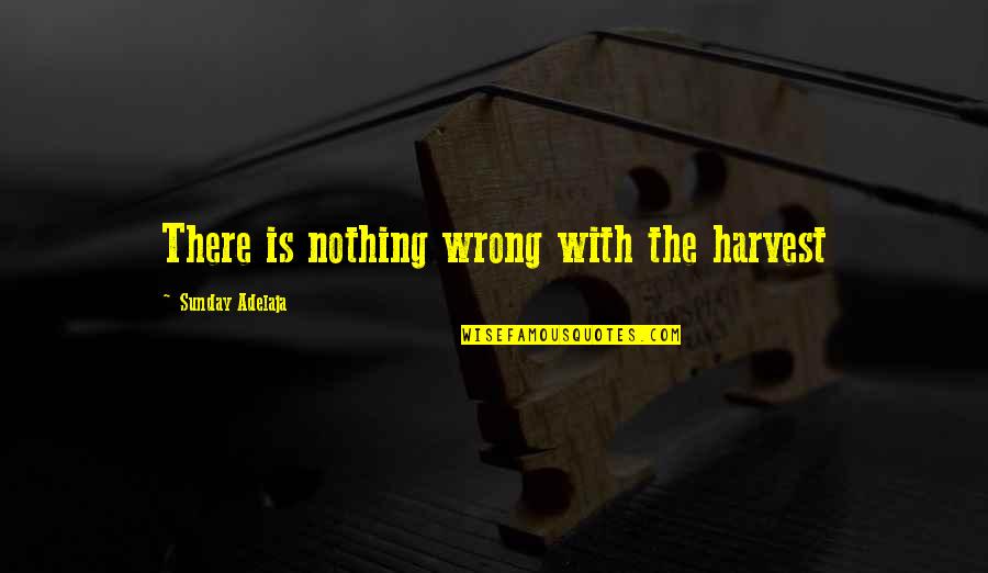 Tareq Monowar Quotes By Sunday Adelaja: There is nothing wrong with the harvest