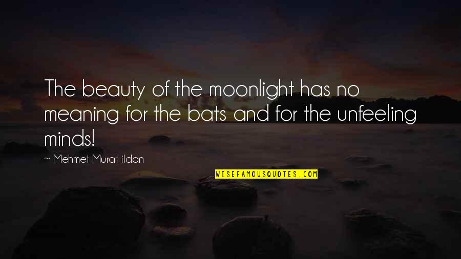 Teacher Short Quotes By Mehmet Murat Ildan: The beauty of the moonlight has no meaning