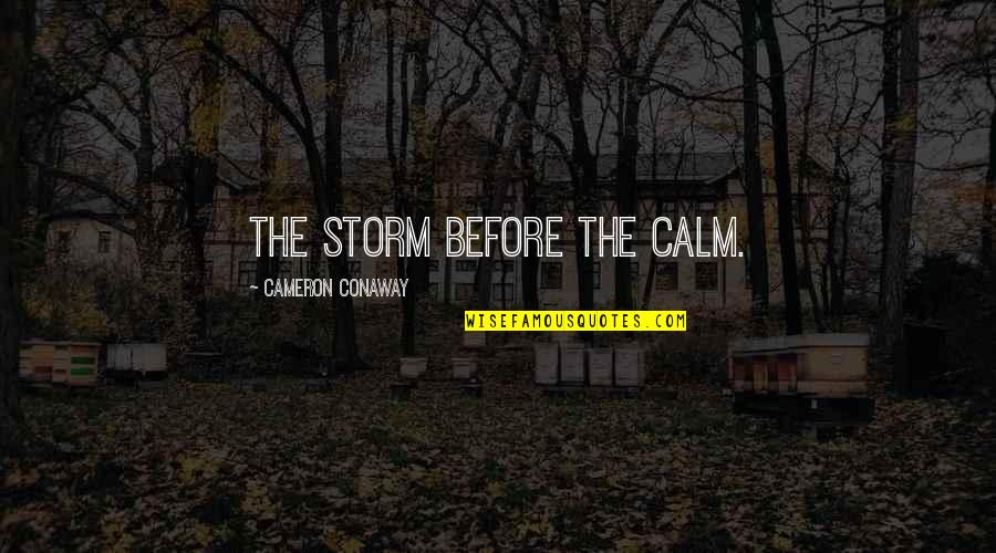 Tearlach Productions Quotes By Cameron Conaway: The storm before the calm.