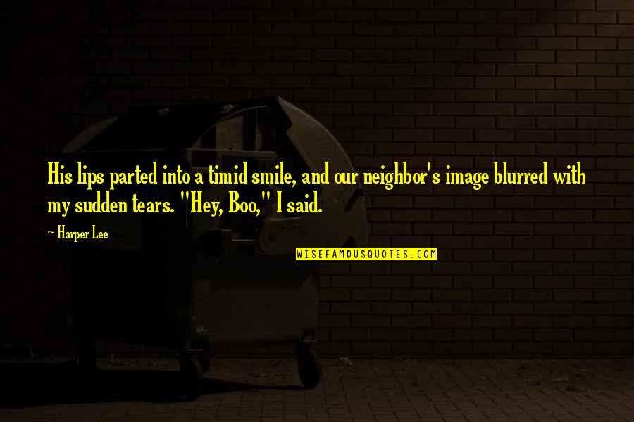 Tears And Smile Quotes By Harper Lee: His lips parted into a timid smile, and