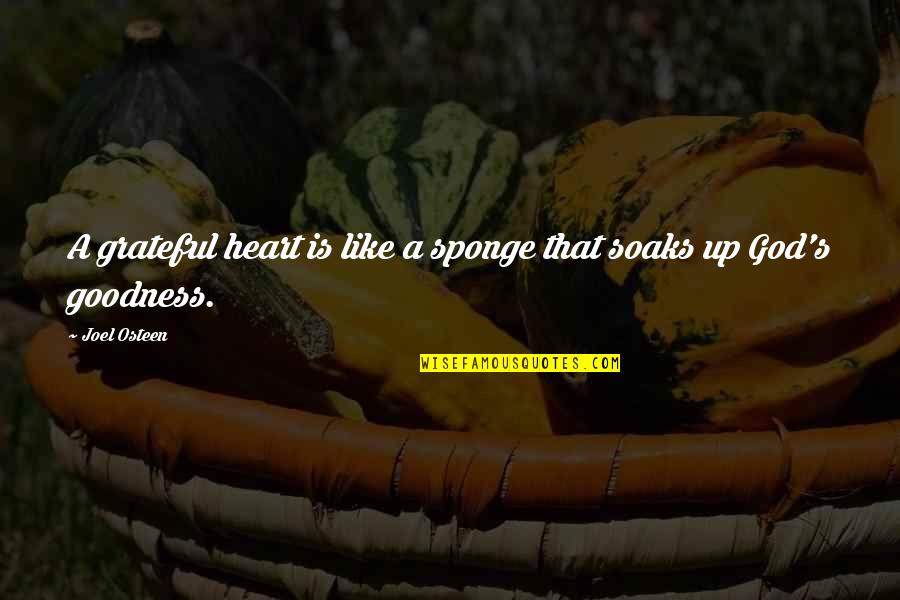 Teenage Boy Quotes By Joel Osteen: A grateful heart is like a sponge that