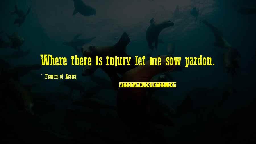 Tefanc Kov Quotes By Francis Of Assisi: Where there is injury let me sow pardon.