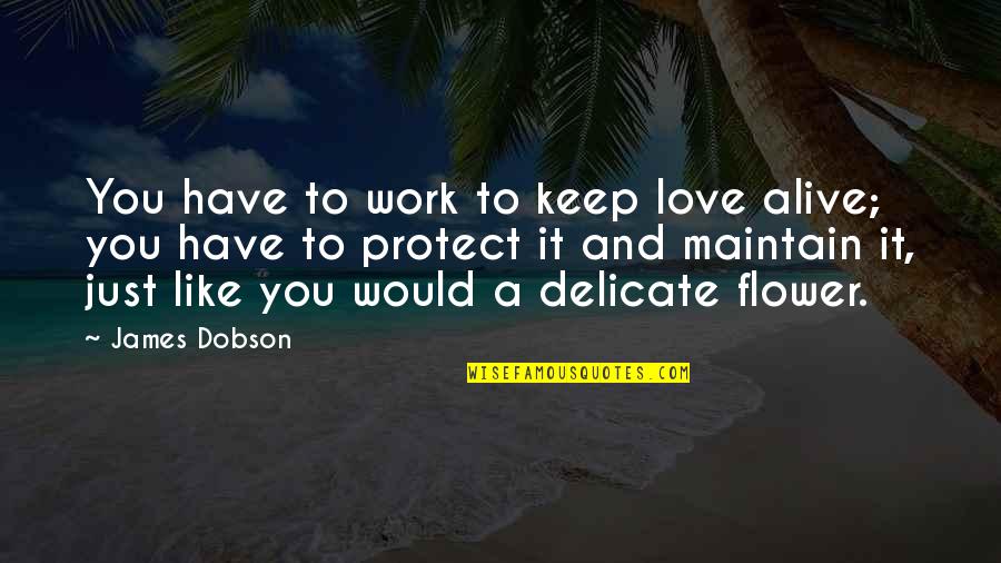 Tempesta Media Quotes By James Dobson: You have to work to keep love alive;