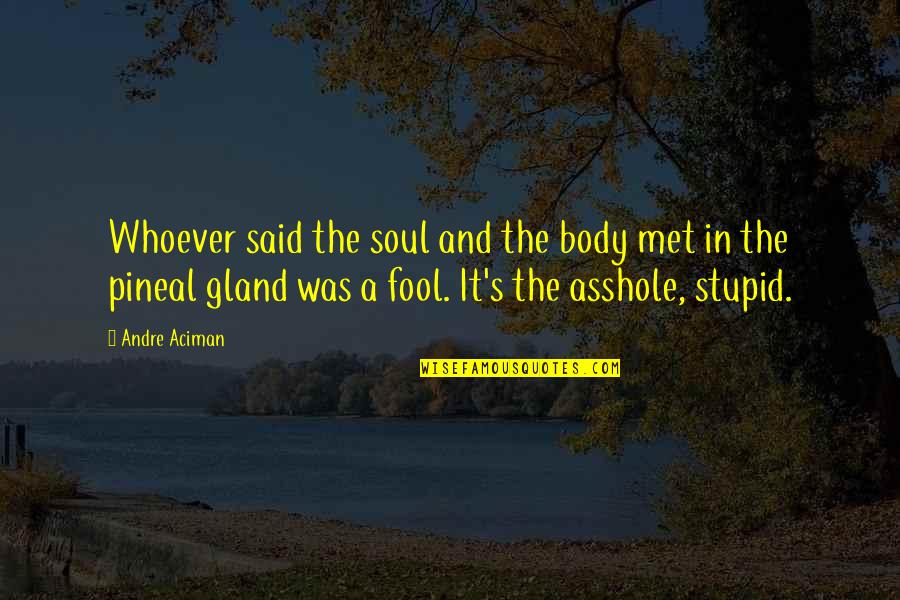 Temptations Quotes And Quotes By Andre Aciman: Whoever said the soul and the body met