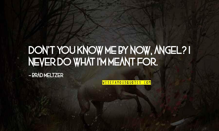 Tenderers Quotes By Brad Meltzer: Don't you know me by now, Angel? I