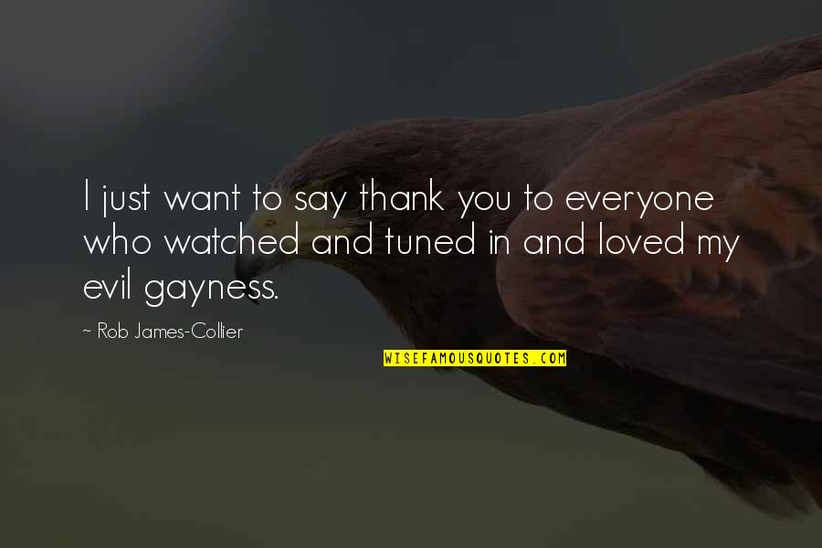 Thank You Everyone Quotes By Rob James-Collier: I just want to say thank you to