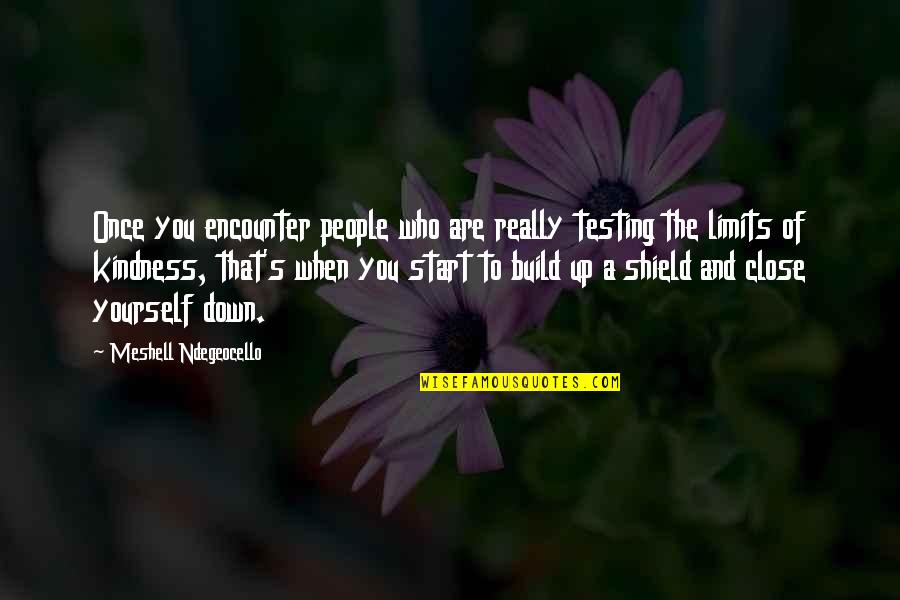 Thank You For Being There For Me Quotes By Meshell Ndegeocello: Once you encounter people who are really testing