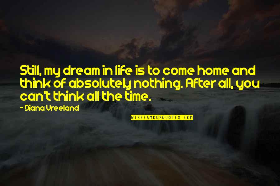 Thank You For My Raise Quotes By Diana Vreeland: Still, my dream in life is to come