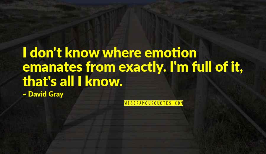 That's It That's All Quotes By David Gray: I don't know where emotion emanates from exactly.