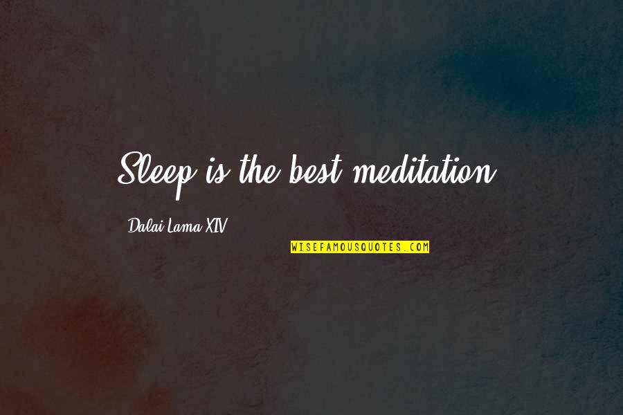 The 1919 World Series Quotes By Dalai Lama XIV: Sleep is the best meditation.